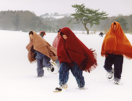 [冬] 风吹雪体验旅行团