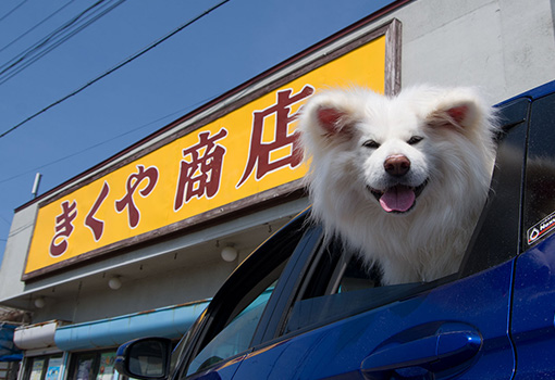 七里長浜きくや商店